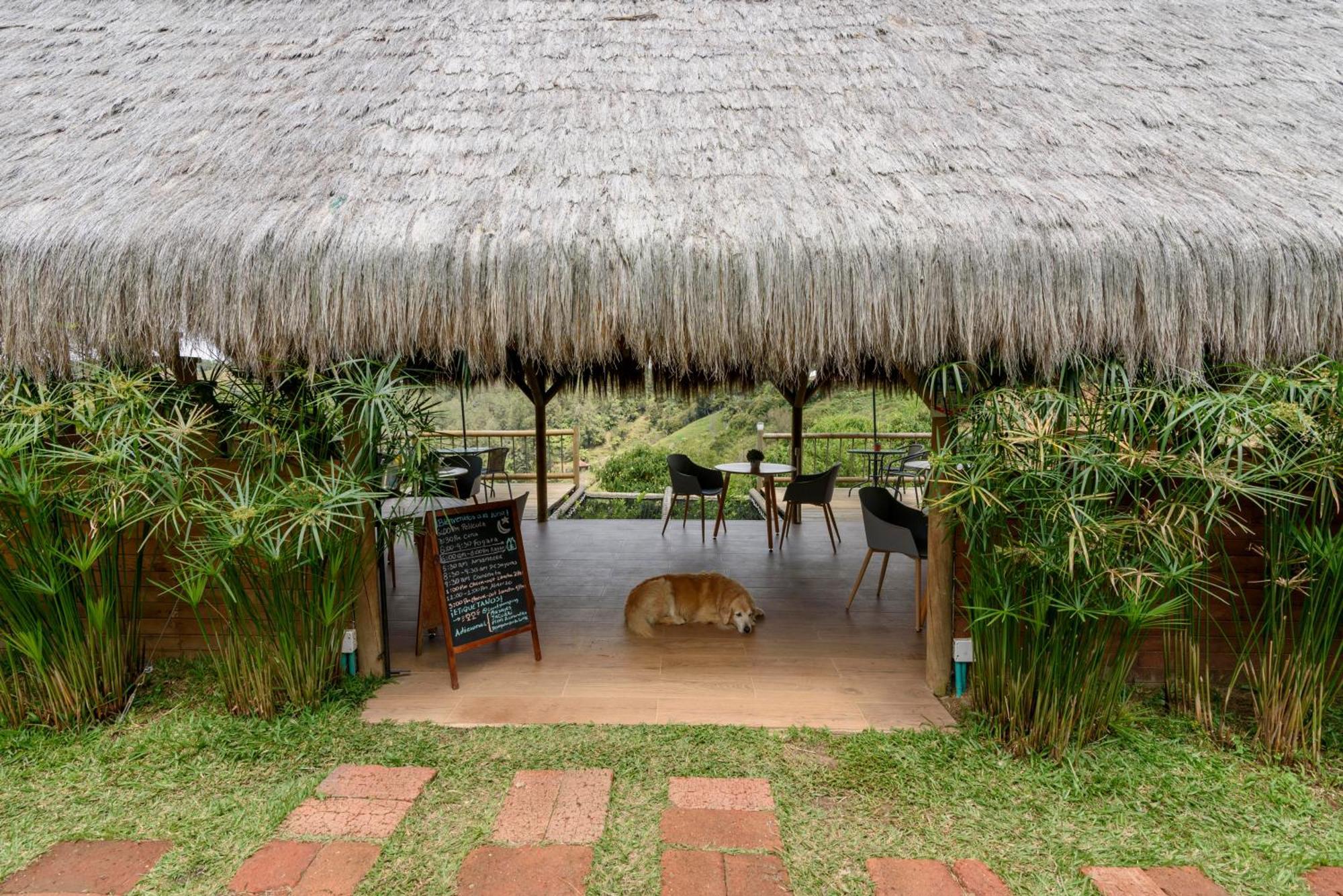 Levit Glamping - Hotel Guatape Penol (Adults Only) Eksteriør billede